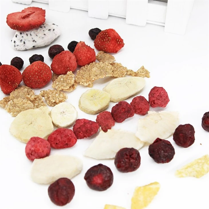 Freeze Dried Fruit Crisps Bulk